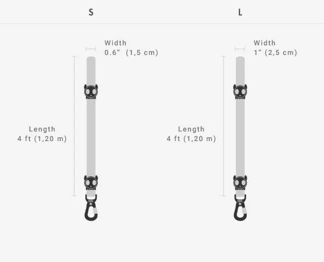 neopro-guide.webp