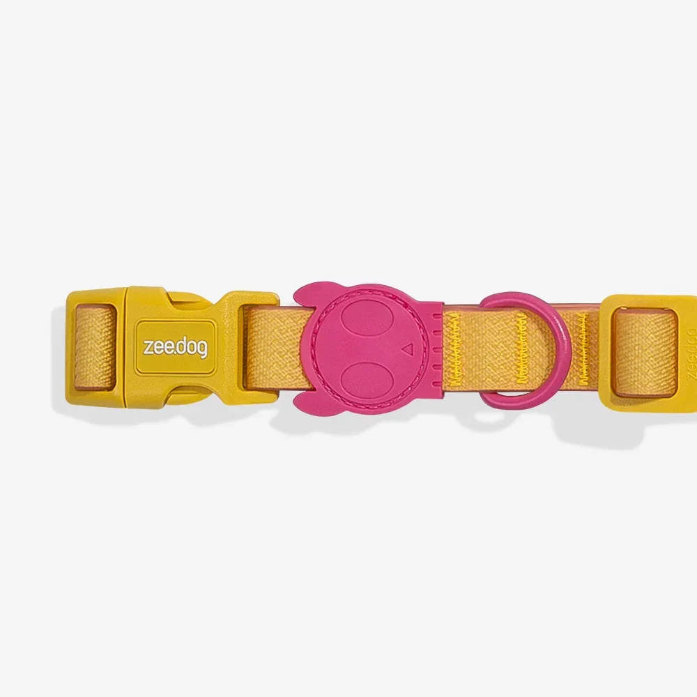 zeedog-dog-collar-neopro-lyra_main-2_2160x_9ded59ce-e08e-40c2-870a-bc91e1fb02d5.webp