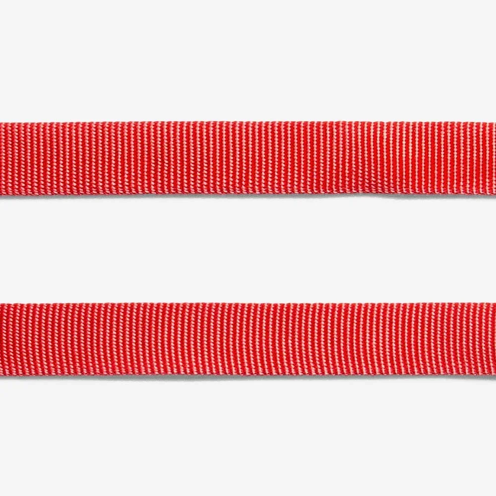 g-dog-leash-neon-coral_main-6_1512x.webp