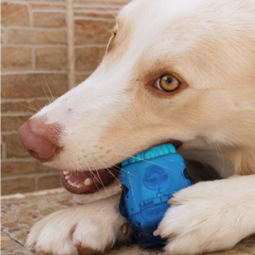 zee.dog-grizalo-brain-freeze3.png