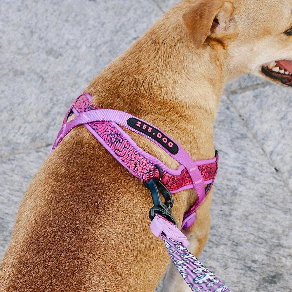 ZeeDog-SofterWalkHarness-Brain-3_vanillapup_2x_f5a983bd-f9c4-47fd-821a-d7e4a0172781.jpg