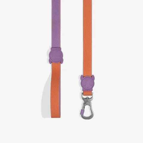 zeedog-dog-leash-neopro-iris-active-2.webp