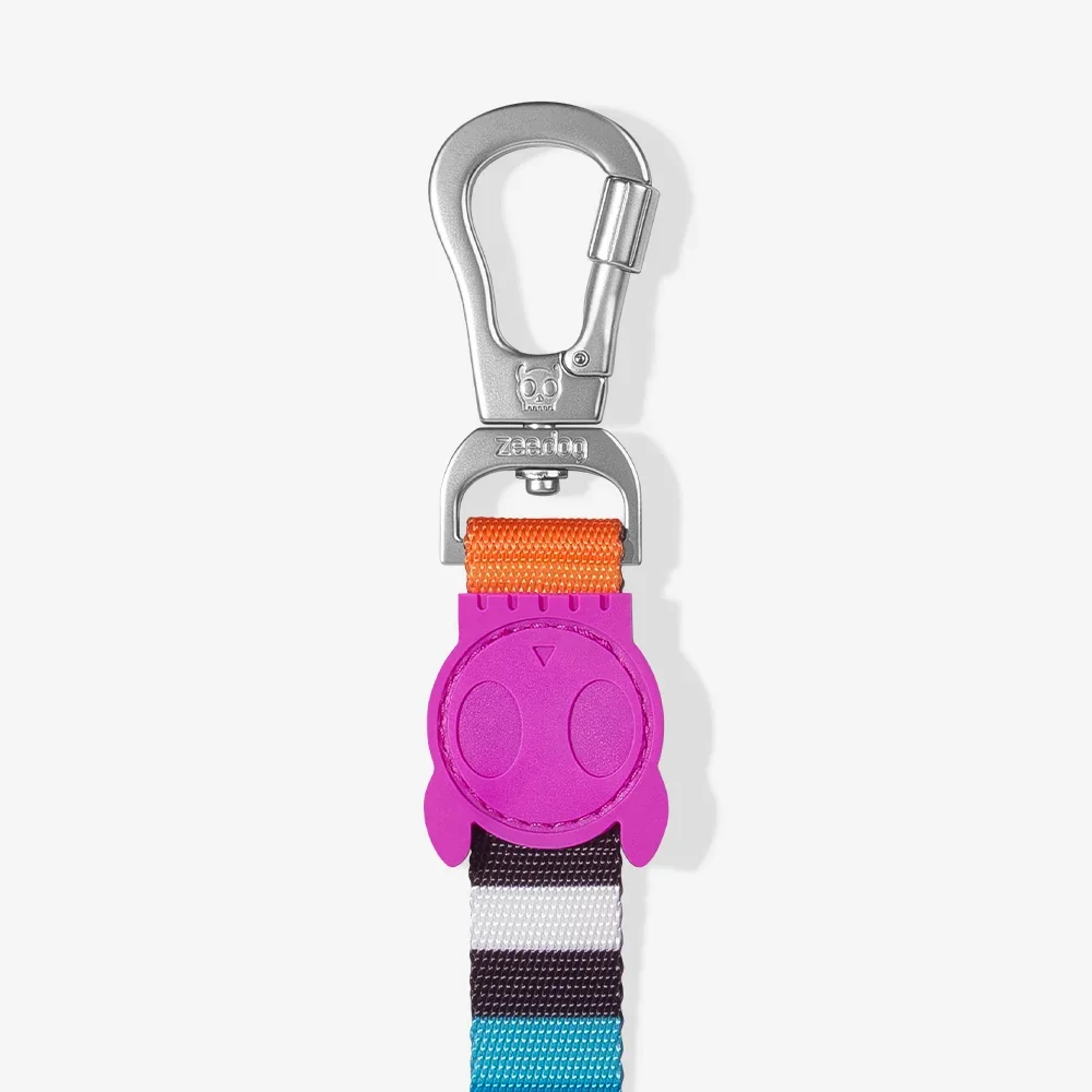 zeedog-dog-leash-prisma_main-2.webp