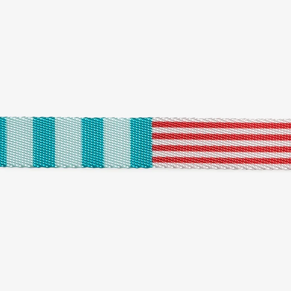 zeedog-dog-collar-yacht_main-4_1296x.webp