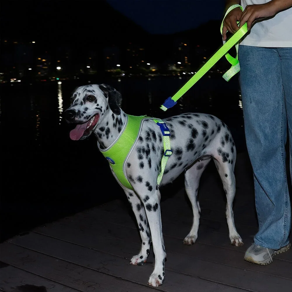 Zee.dog_0003_Laag35.webp