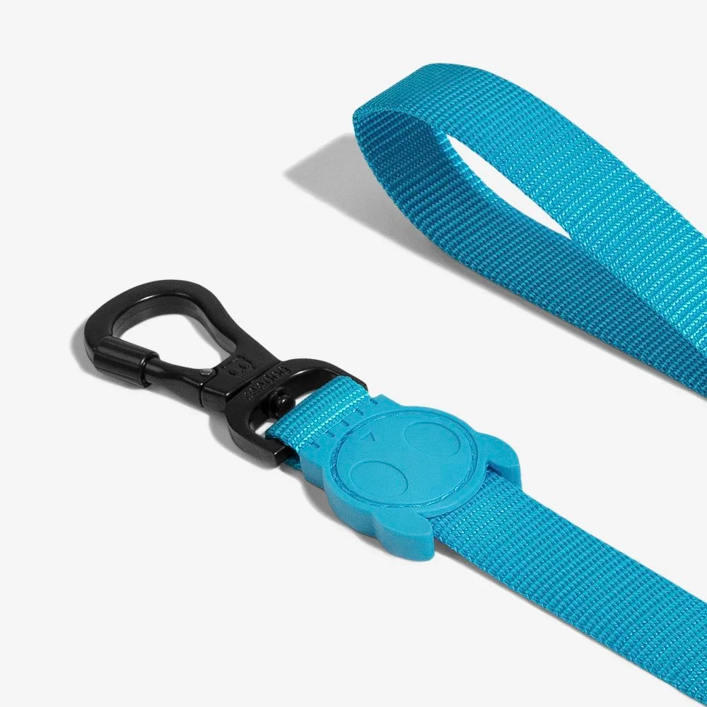 zeedog-dog-leash-ultimate-blue_main-4.webp