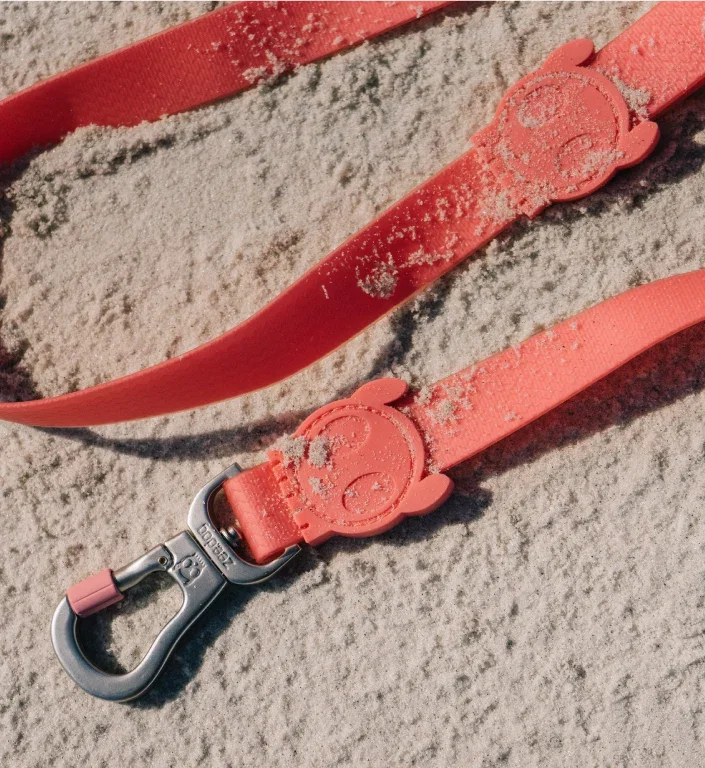 zee-dog-neopro-bubblegum-dog-leash-mo-carrossel-1.webp