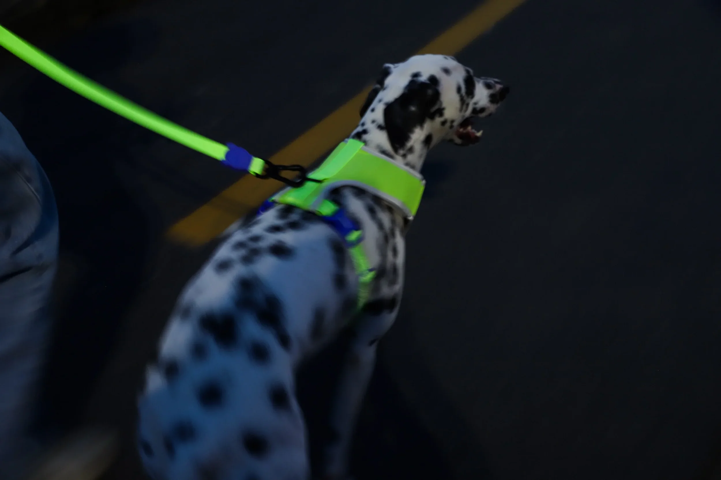 IMG_9570_dbcc296a-702d-4769-915c-2e35b30b6b8f_2800x1866.webp