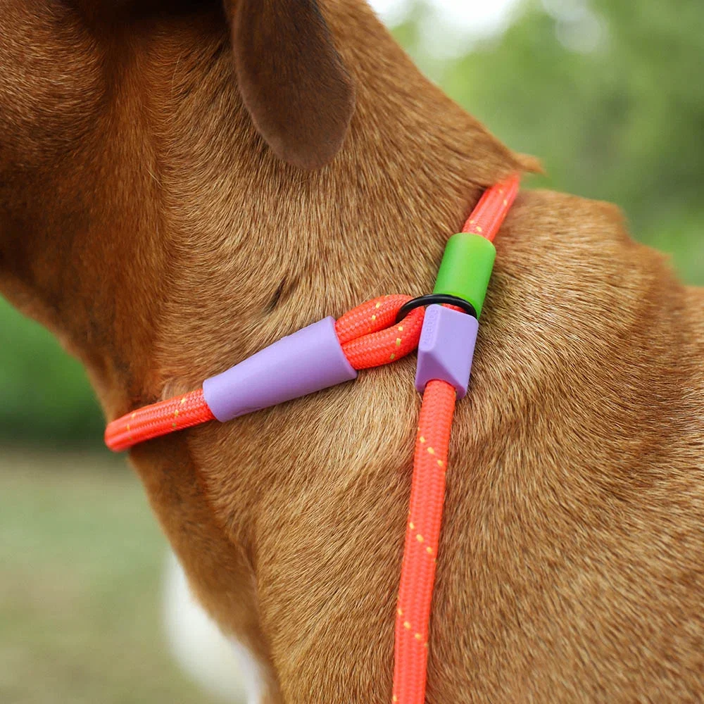 zeedog-slip-n-lock-leash-everest_main-2.webp