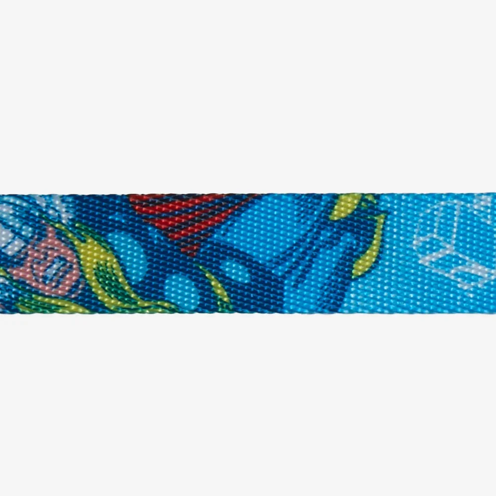 zeedog-dog-collar-marvel-thor_main-4.webp
