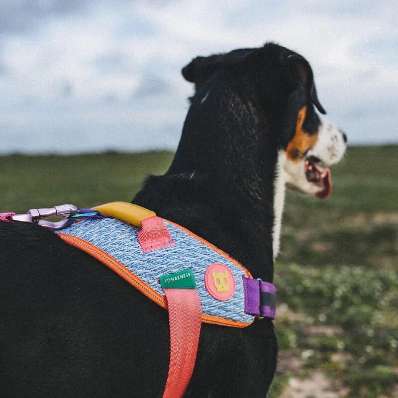 ZeeDog-GalaxyFlyHarness-1_vanillapup_2x_d32ceb40-9f34-4ad4-9643-5fa840c6361e.webp