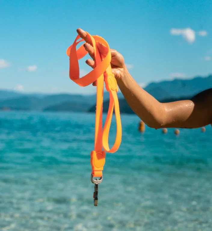 zee-dog-neopro-tangerine-dog-leash-mo-carrossel-2.webp