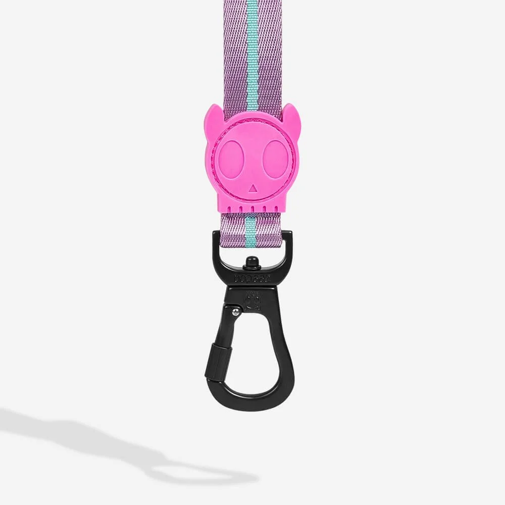 ZeeDog-Leash-Aura-4_vanillapup_2x_015fd4aa-3ea3-450e-9894-eba730c42d99.jpg