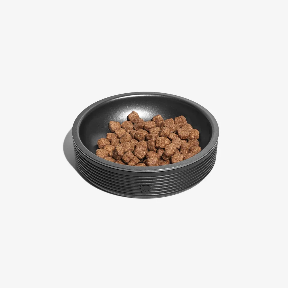 zeedog-duo-bowl-black_main-3.webp