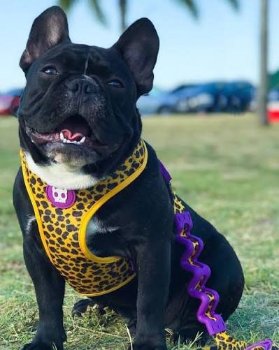 images (2).jpg