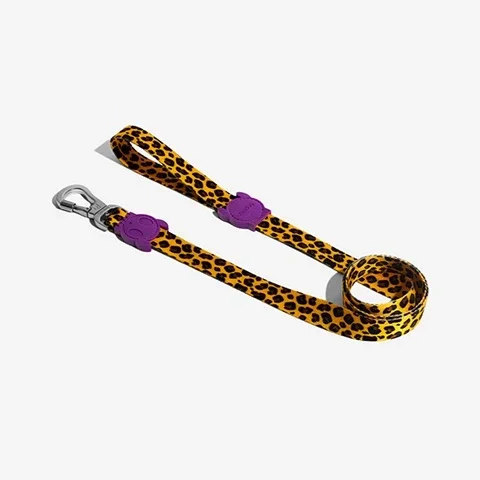 hover_zeedog-dog-leash-honey_d2a757bf-0d22-4072-b5ce-dedabb6ac894.webp