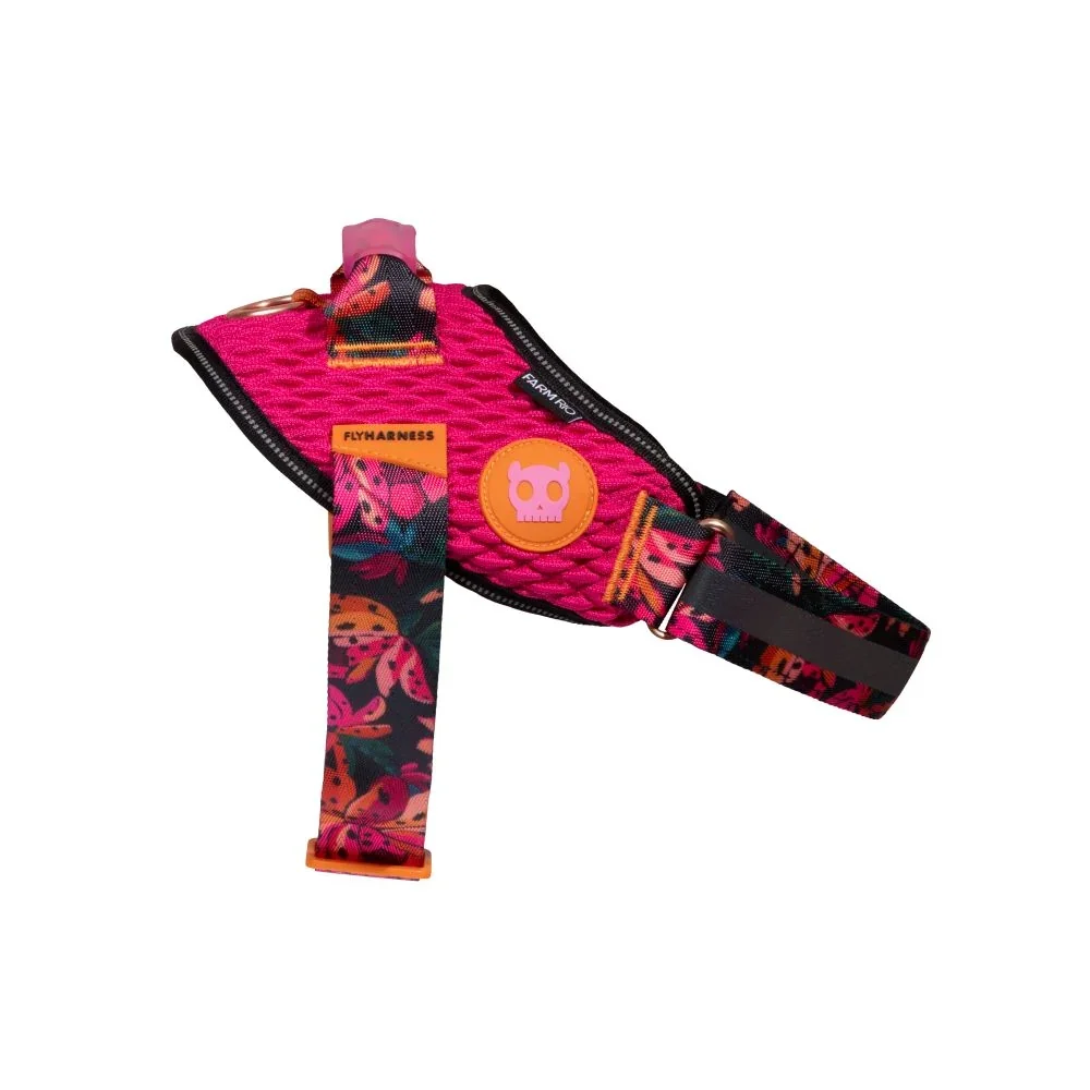SELVA - FLY HARNESS | ZEEDOG