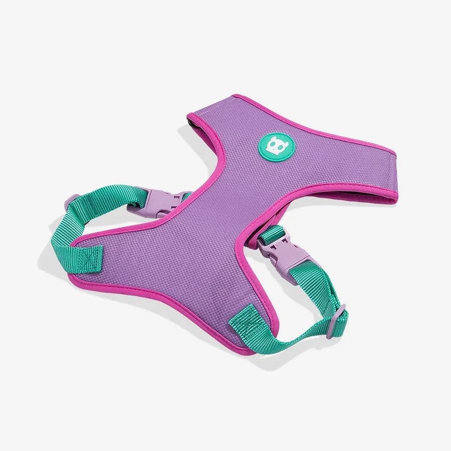 aura-airmesh-harness-2_900x_0246cf2b-9258-403d-9c6f-8372691e93ee_1024x1024@2x.webp