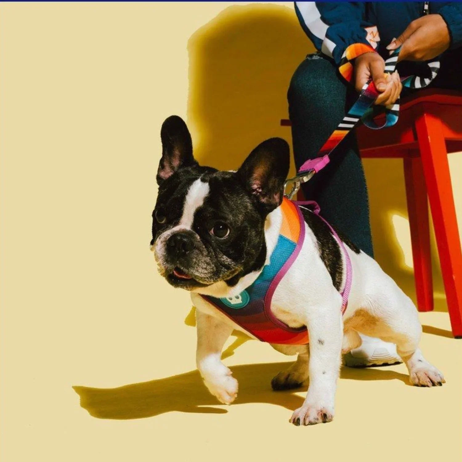 Zee.DogAdjustableAirMeshDogHarnessPrisma_5.webp