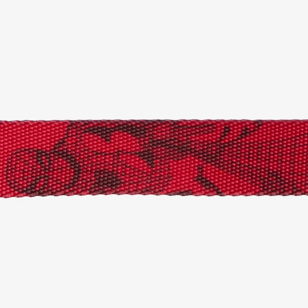 zeedog-dog-collar-marvel-spider-man_main-4.webp