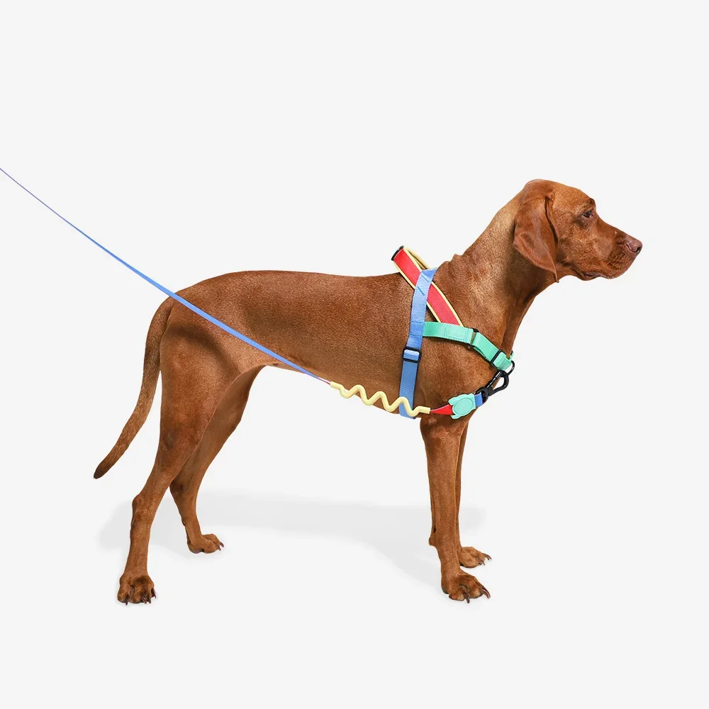 softer-walk-harness-mellow-main-3.webp