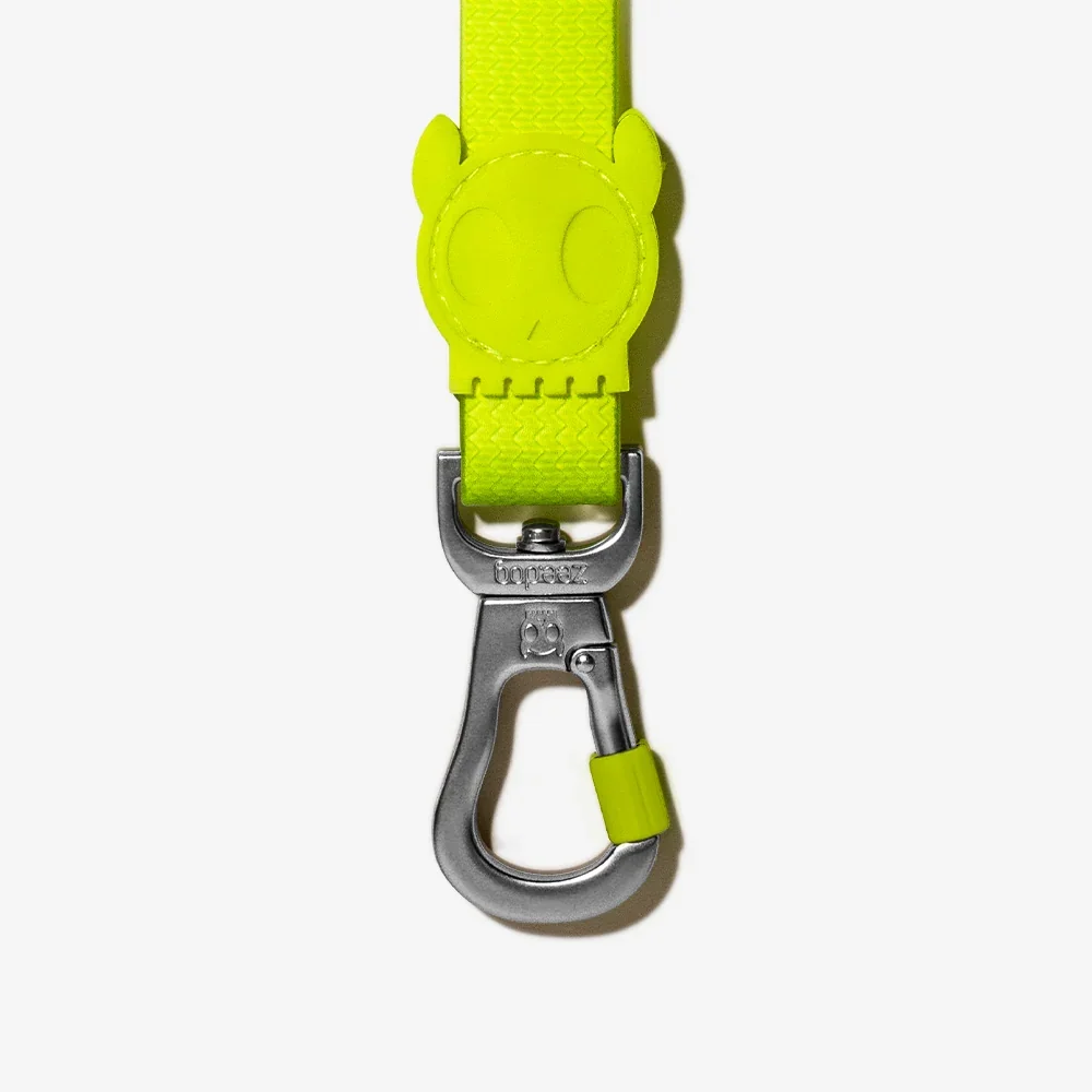 zee_dog_neopro_lime_dog_leash_main-2.webp