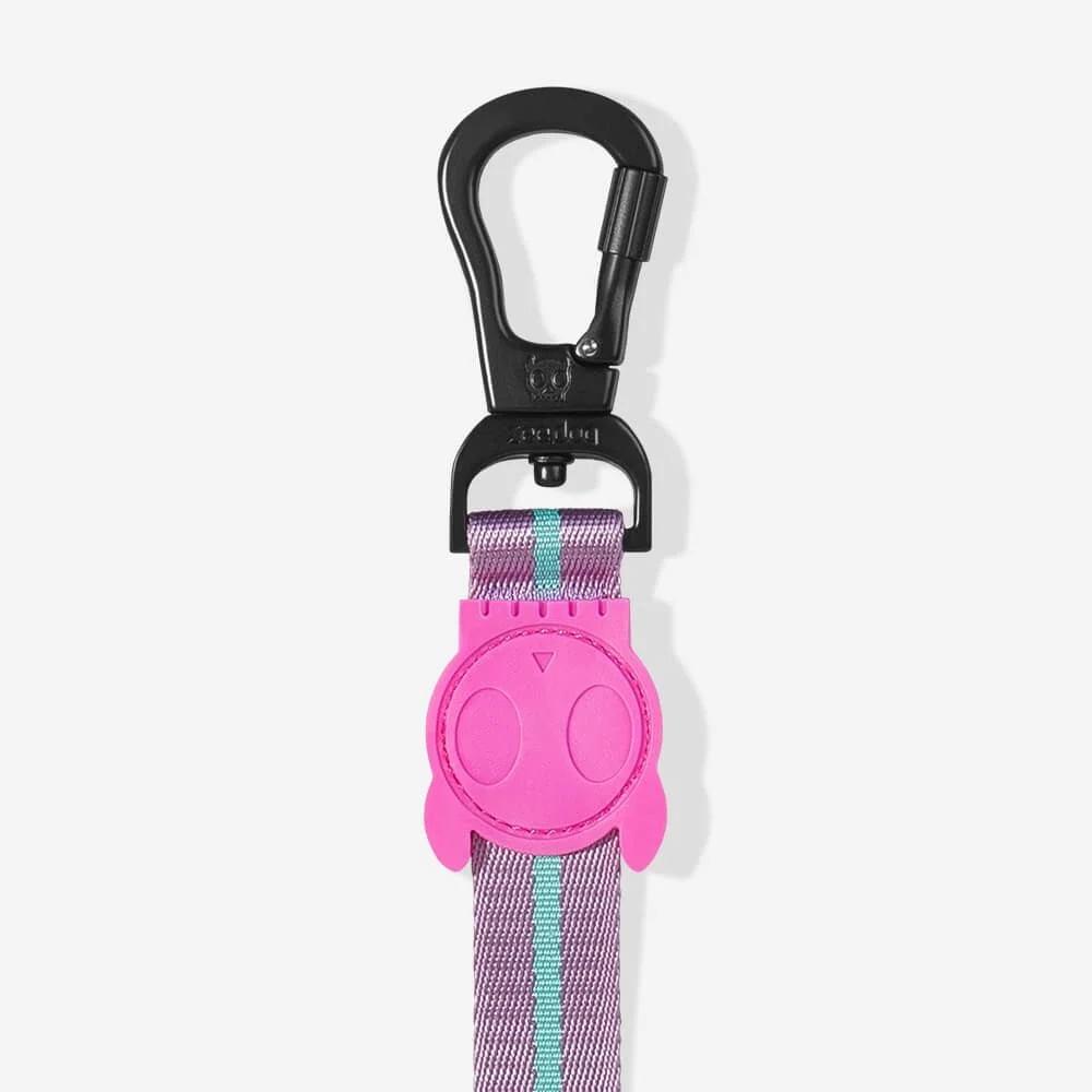 ZeeDog-Leash-Aura-2_vanillapup_2x_f29e8ade-f31d-4763-900a-de6c1f0f665e.jpg