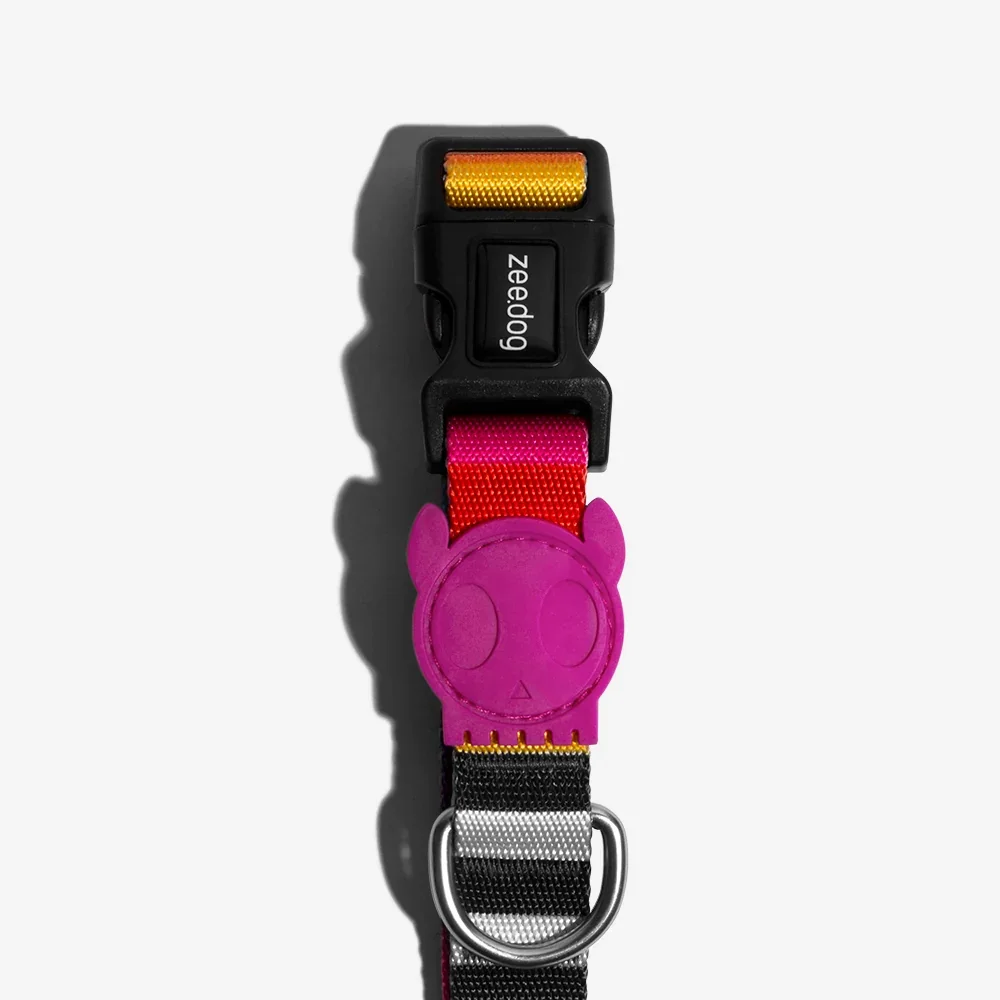 zee_dog_dog_collar_prisma_main-2.webp