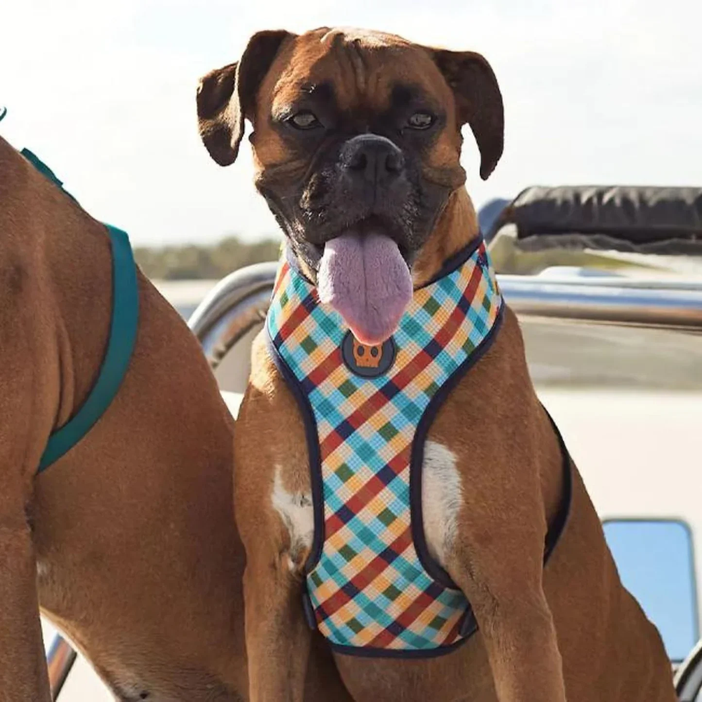Zee.DogAdjustableAirMeshDogHarnessPhantom_4.webp