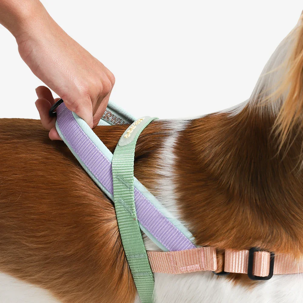 softer-walk-harness-peach-main-4.webp