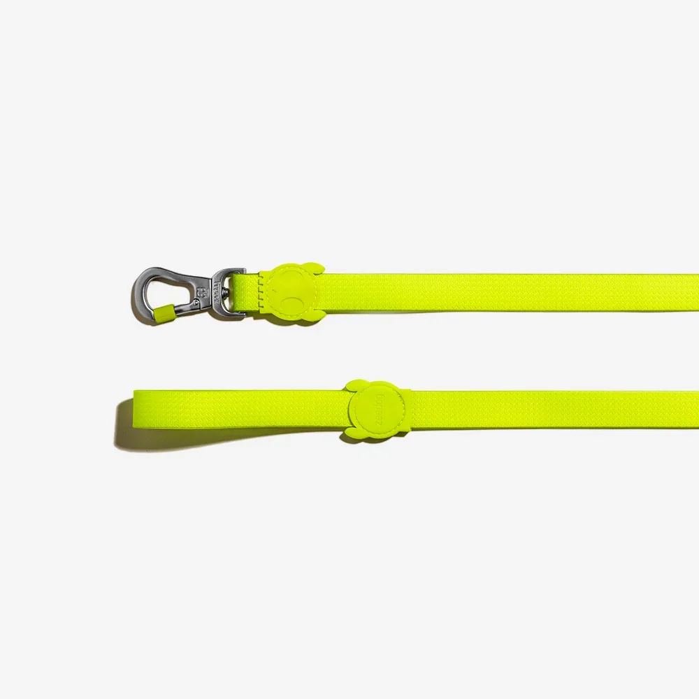 zee_dog_neopro_lime_dog_leash_main-3.webp