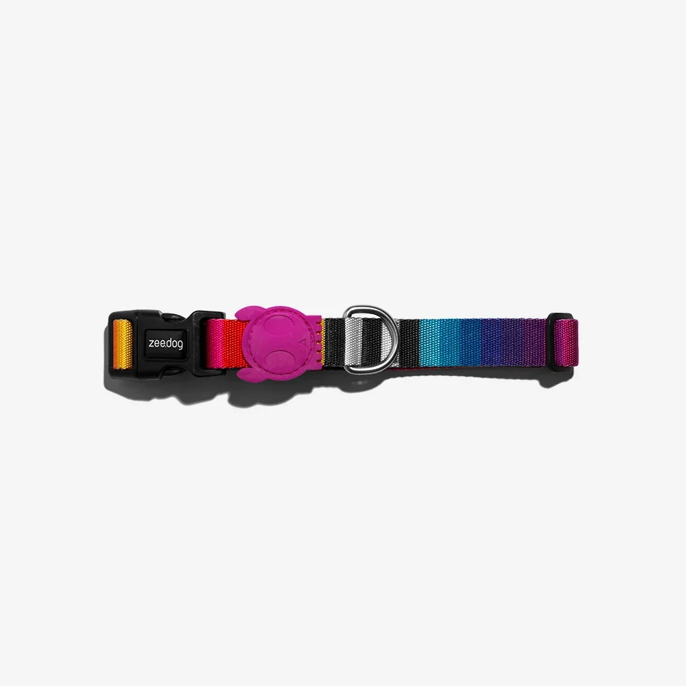 zee_dog_dog_collar_prisma_main-3.webp
