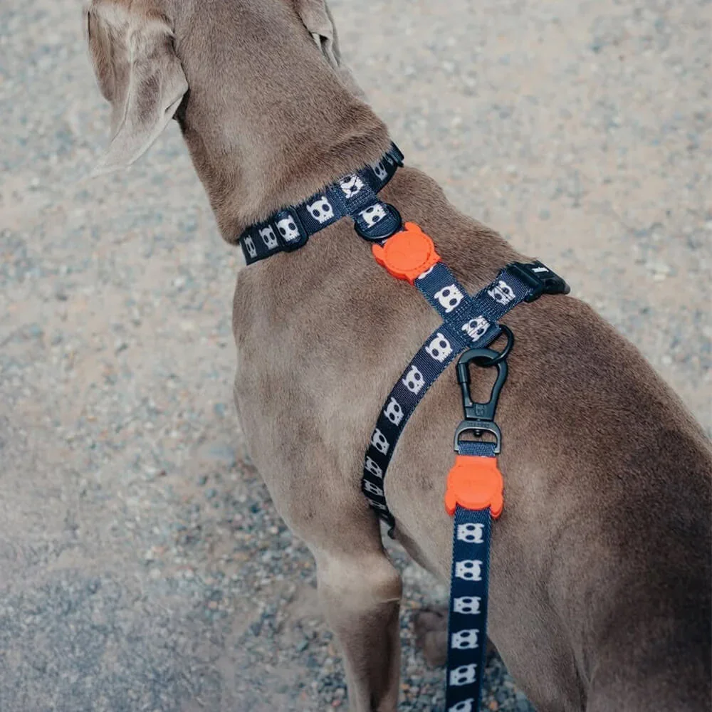 zeedog_0004_709101640_18595539433021621_4383450812817730839_n.webp