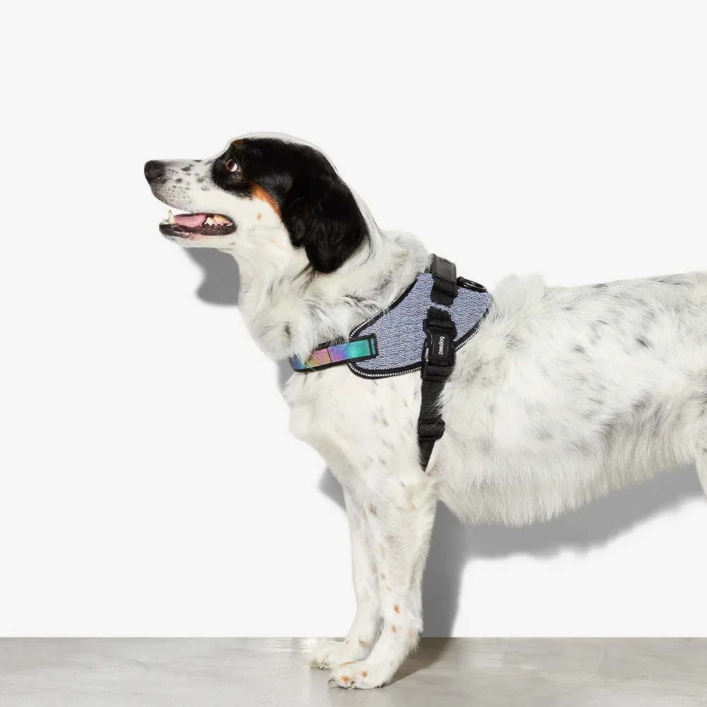 zee-dog-dog-harness-fly-harness-urban_main-6.webp