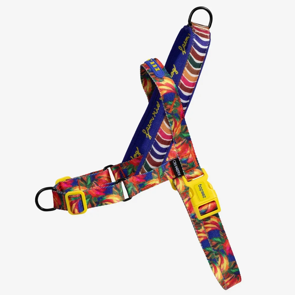 SAMBA - SOFTER WALK (NO PULL) HARNESS | ZEEDOG