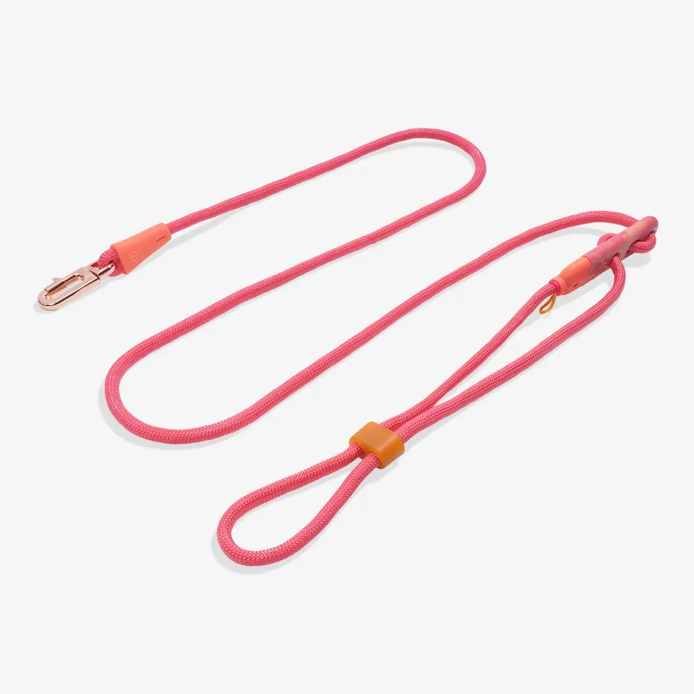 GAZELLE - HANDS FREE LEASH | ZEEDOG