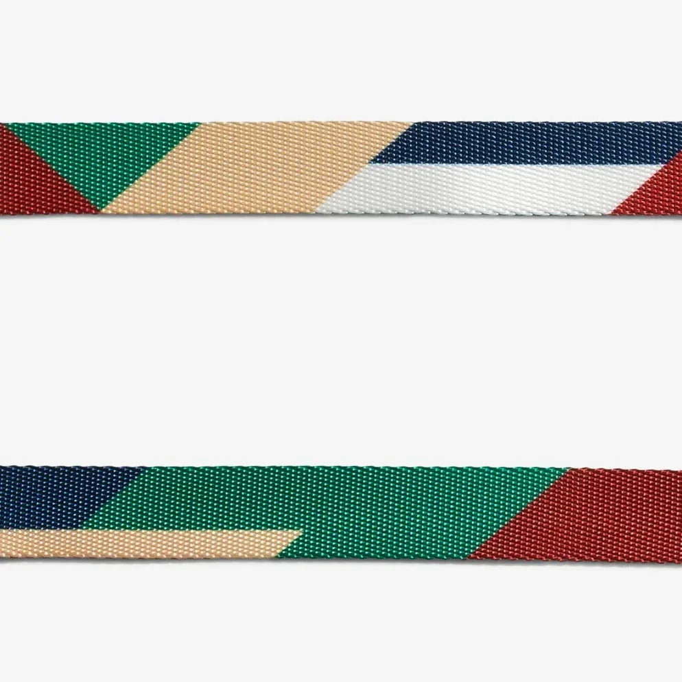 zeedog-dog-leash-pacco_main-6_2376x_1af3255b-ead1-4852-aece-5884e8f0931d_994x994.webp