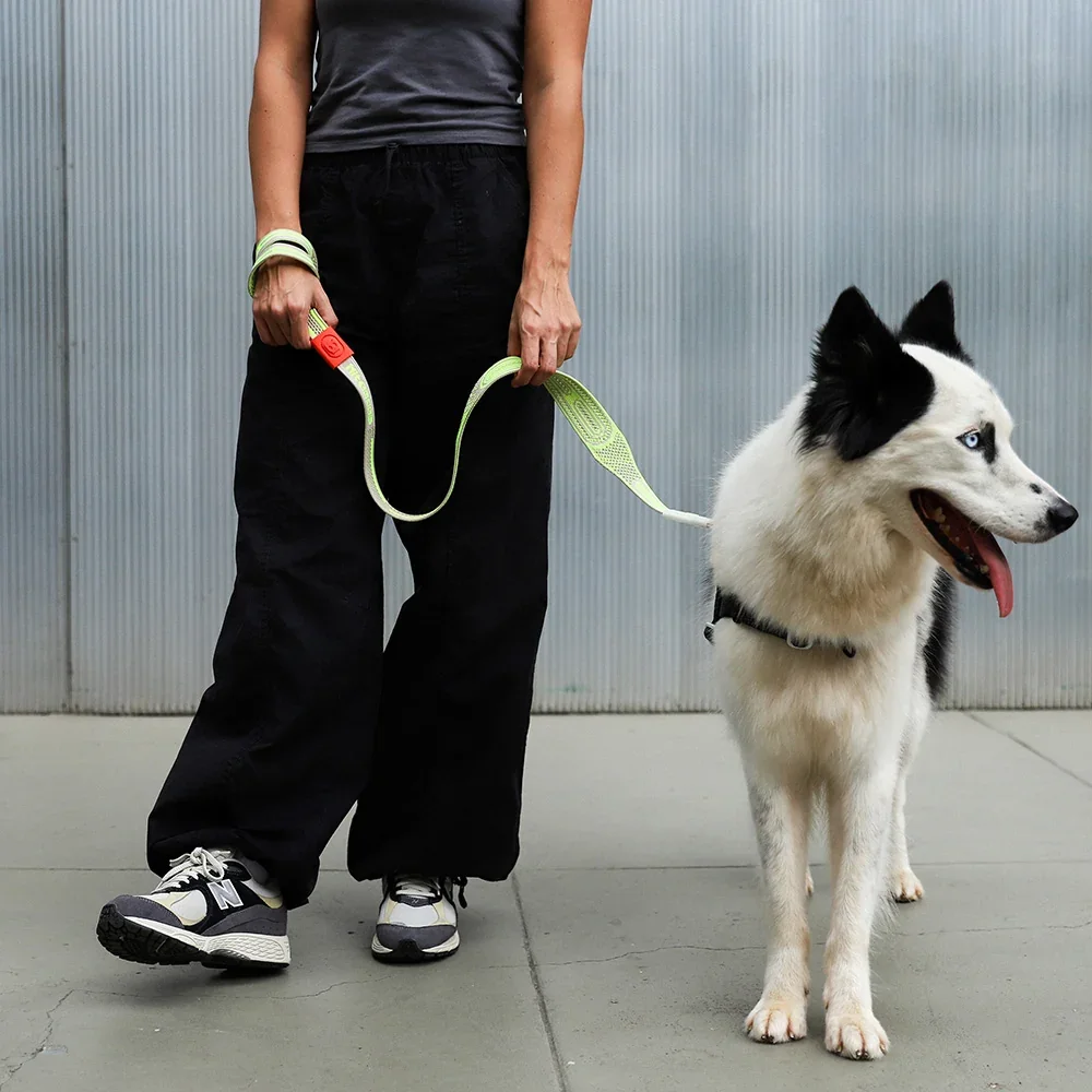 nit-leash_gluten_1.webp