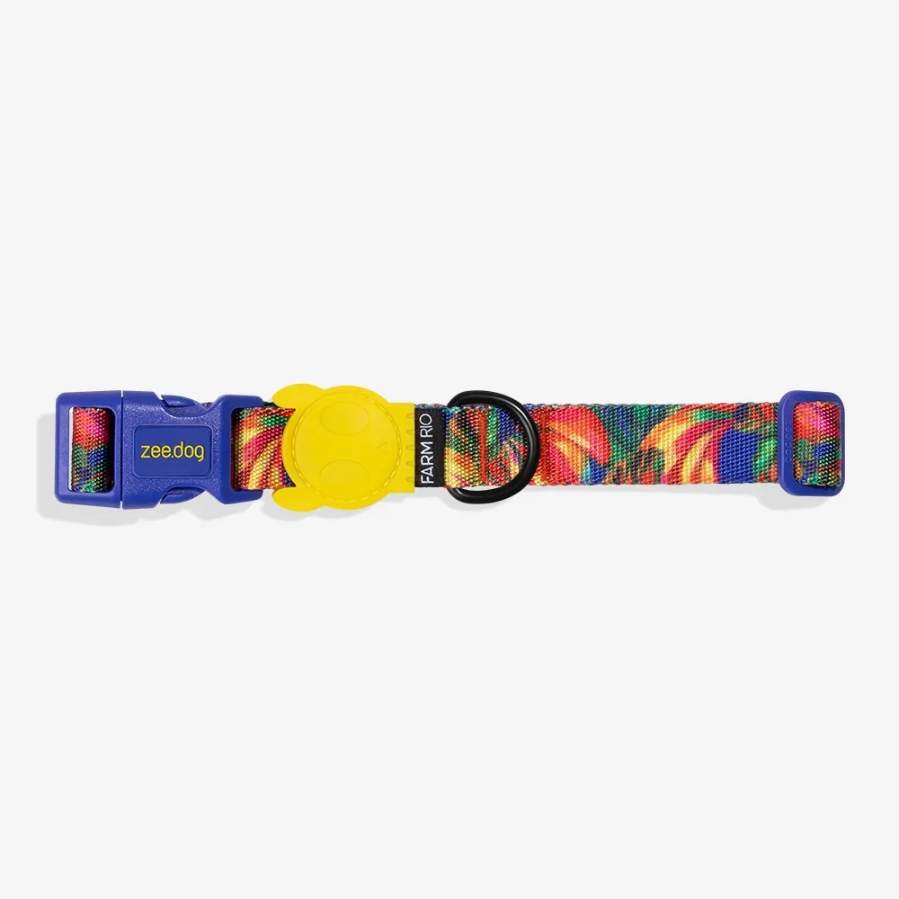 farm-collar-samba-main-2.webp