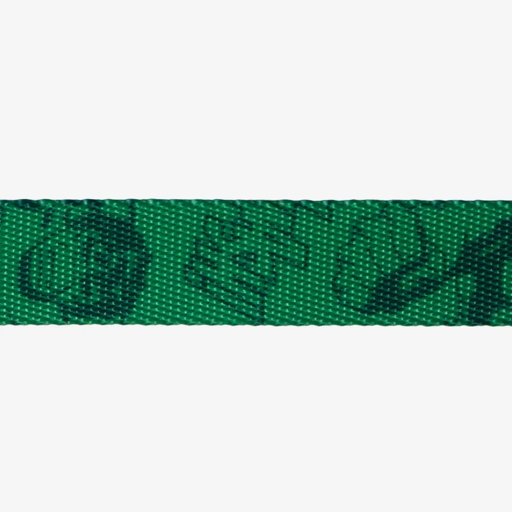 zeedog-dog-collar-marvel-hulk_main-4.webp