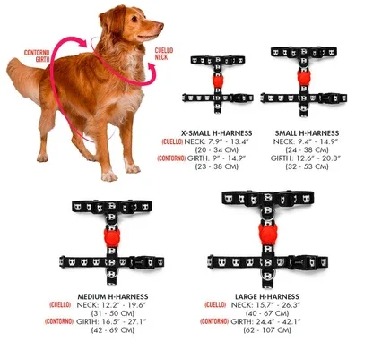 A-TALLAS-H-HARNESS_0c1d0a9e-dbe3-484b-8325-9d14dabd33c3.webp (Copy)