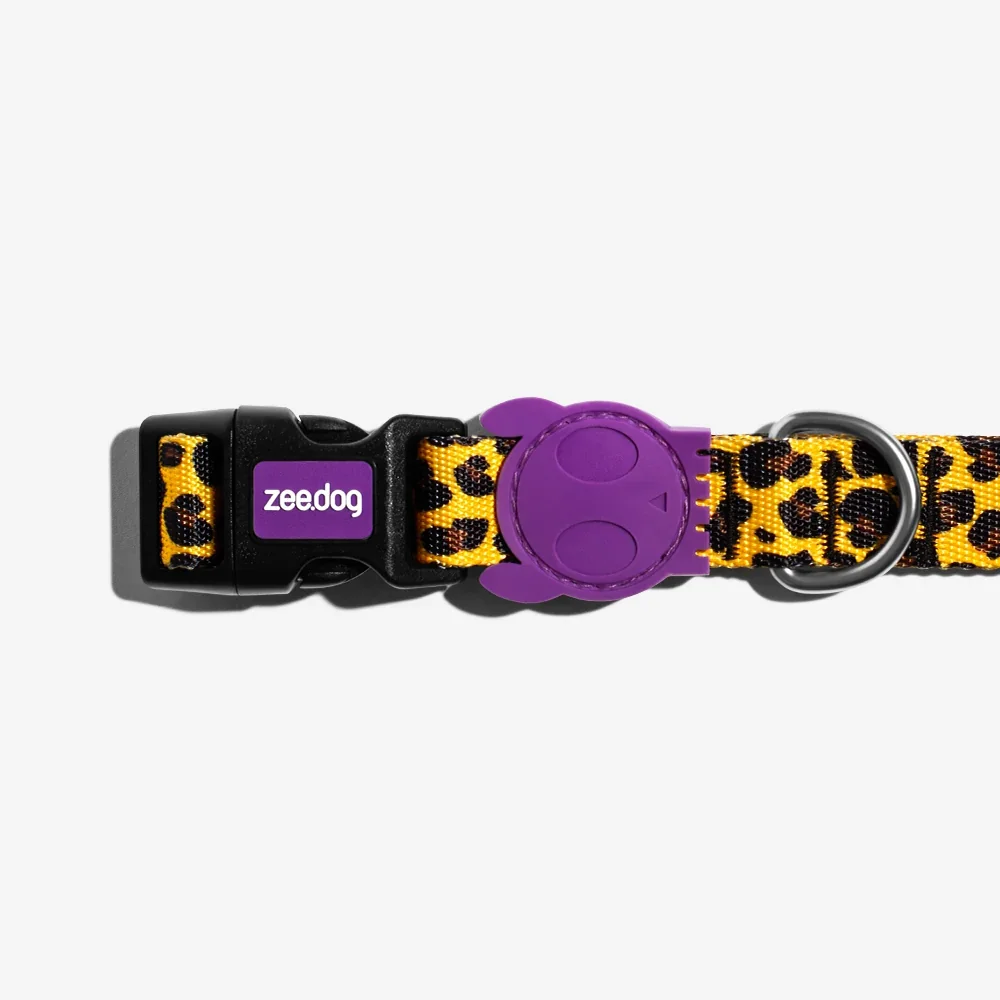 zeedog-dog-collar-honey_main-2.webp
