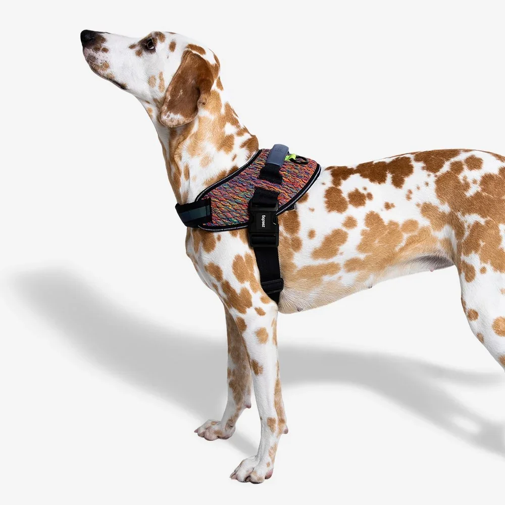 zeedog-flyharness-vortex_main-6.webp