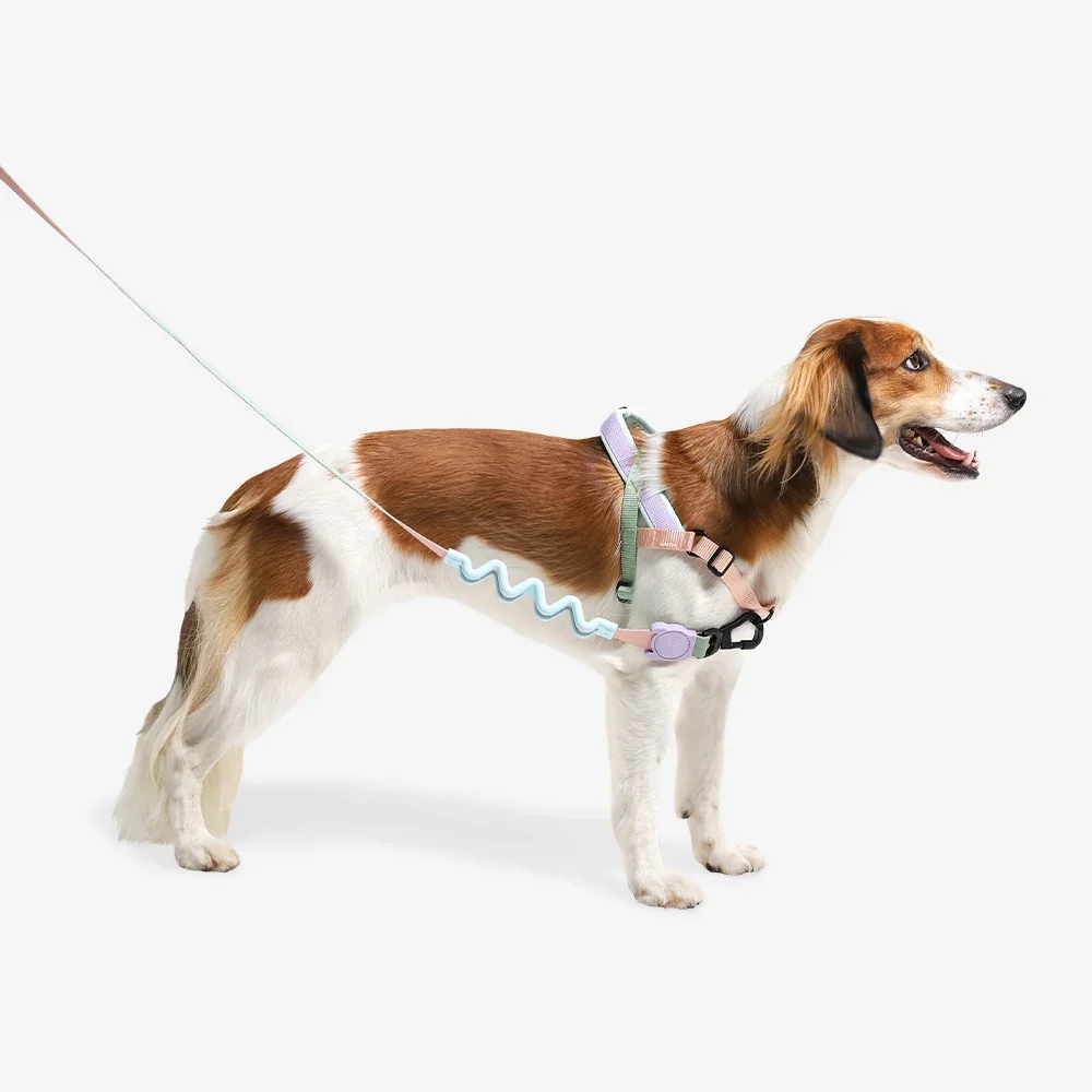 softer-walk-harness-peach-main-3.webp