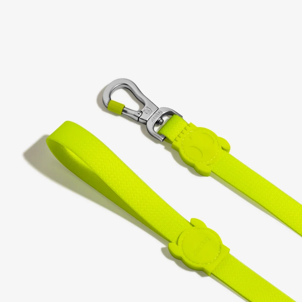 zee_dog_neopro_lime_dog_leash_main-4.webp