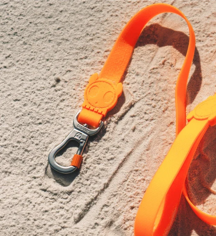 zee-dog-neopro-tangerine-dog-leash-mo-carrossel-1.webp