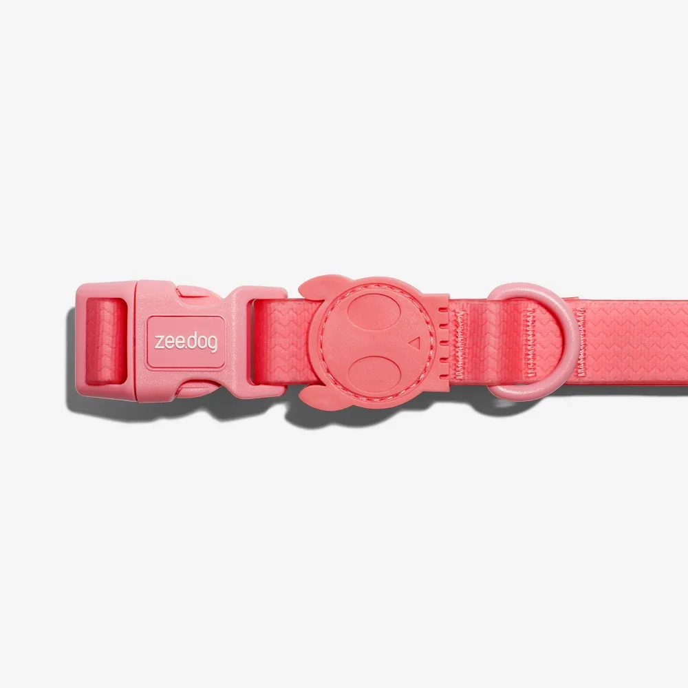 zeedog_dog_collar_neopro_bubblegum_main-2.webp
