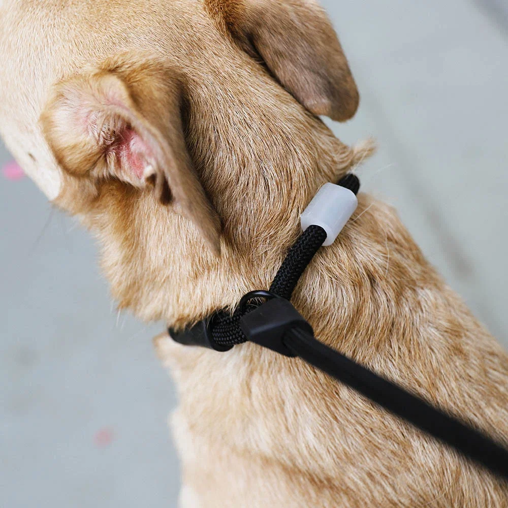 zeedog-slip-n-lock-leash-gotham_main-2.webp