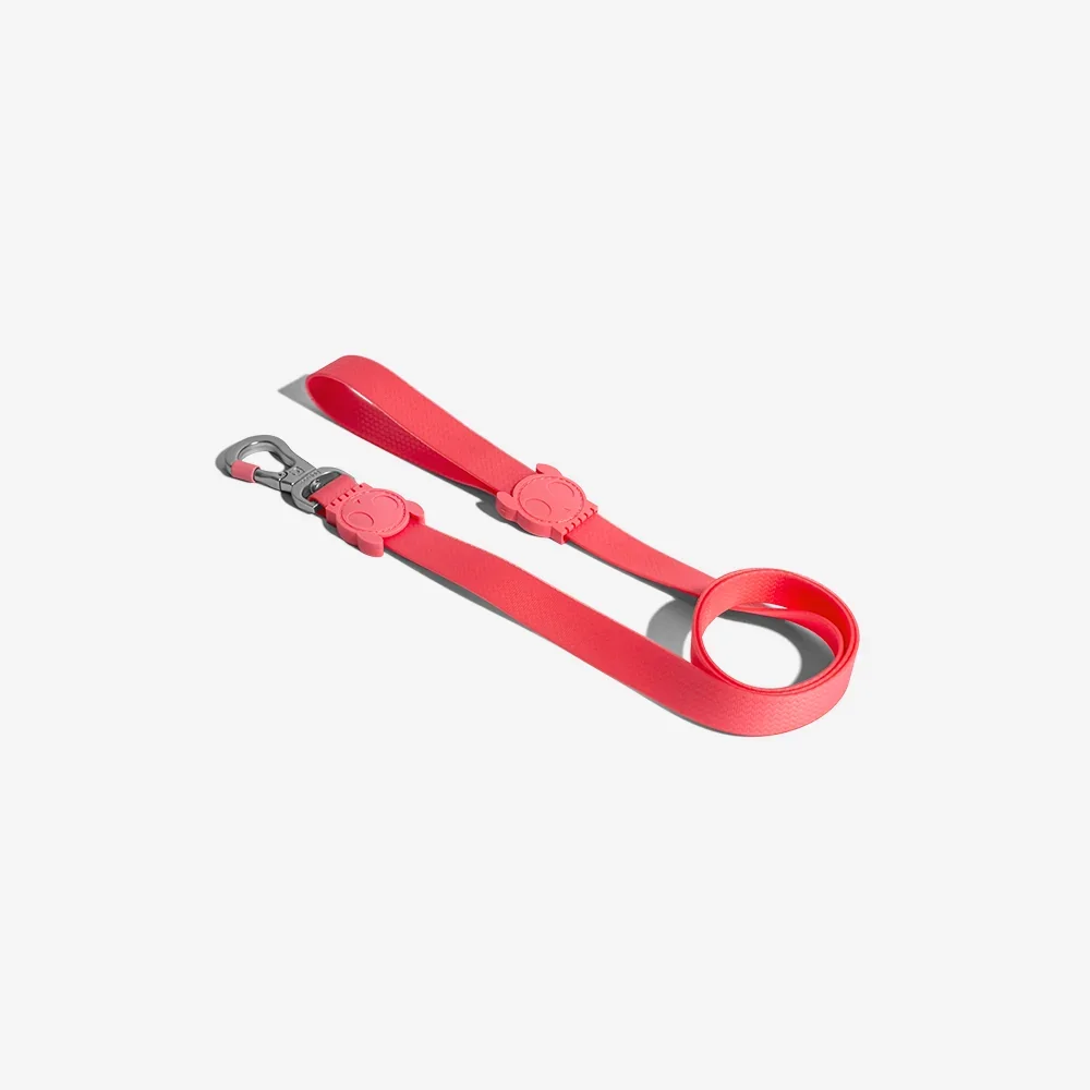 BUBBLEGUM NEOPRO LEASH | ZEEDOG