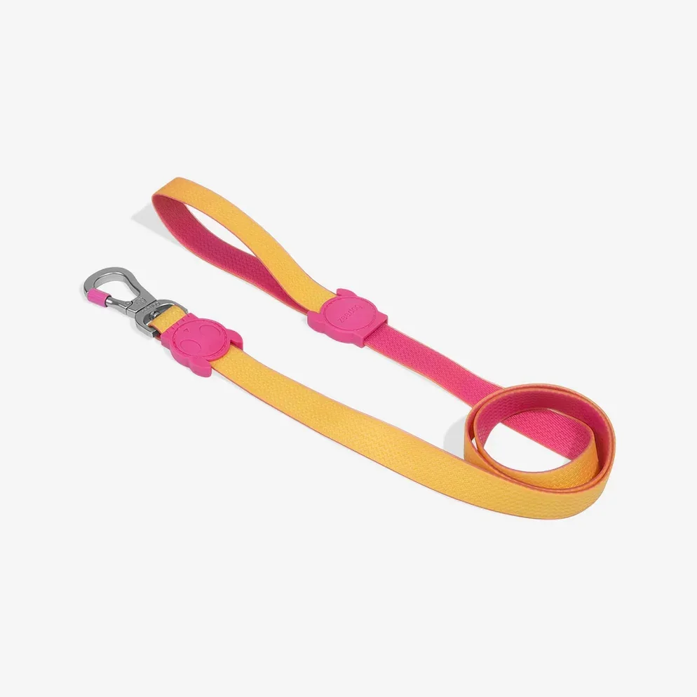 zeedog-dog-leash-neopro-lyra_main-3_1512x_37d1d753-c97f-4593-be9f-04a770e1752f_994x994.webp
